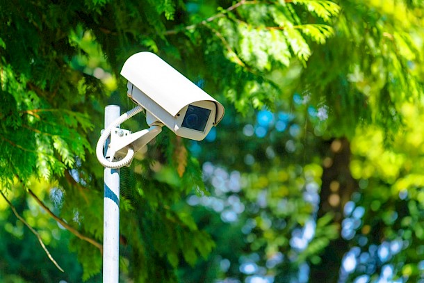 video surveillance in a park