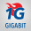 ALL GIGABIT